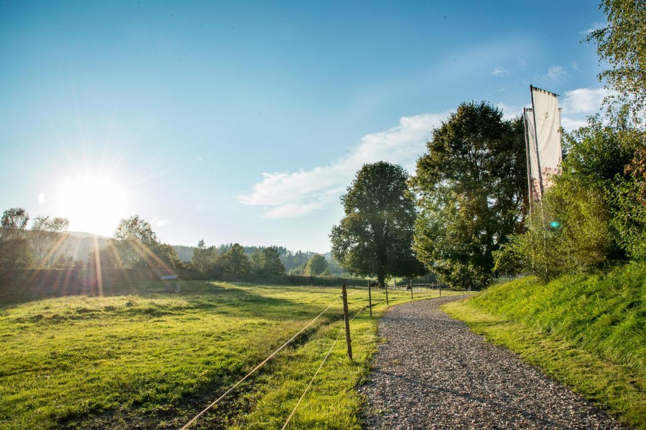 Forstgut - Premium Waldchalets Und Lodge Suiten Regen Eksteriør bilde